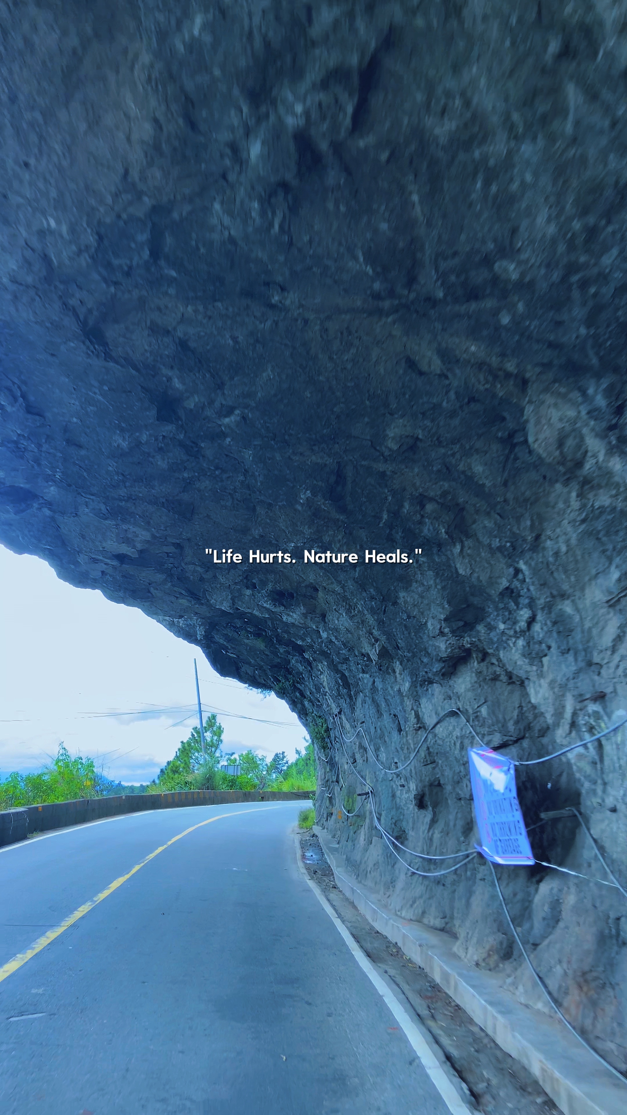 Nature Heals 