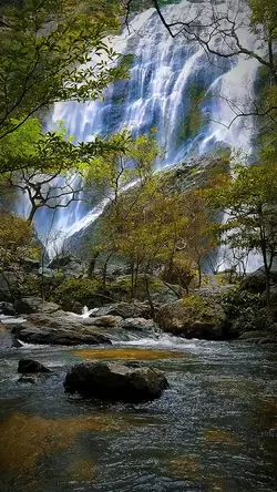 nature