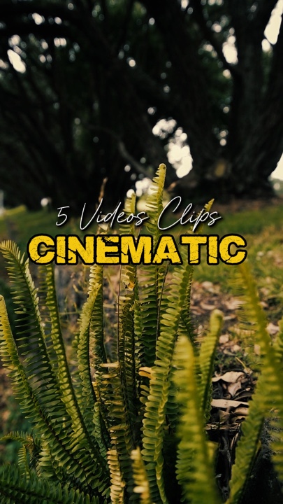 Cinematic 5 videos