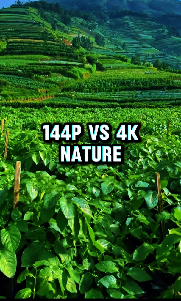 144p vs 4k Doğa 