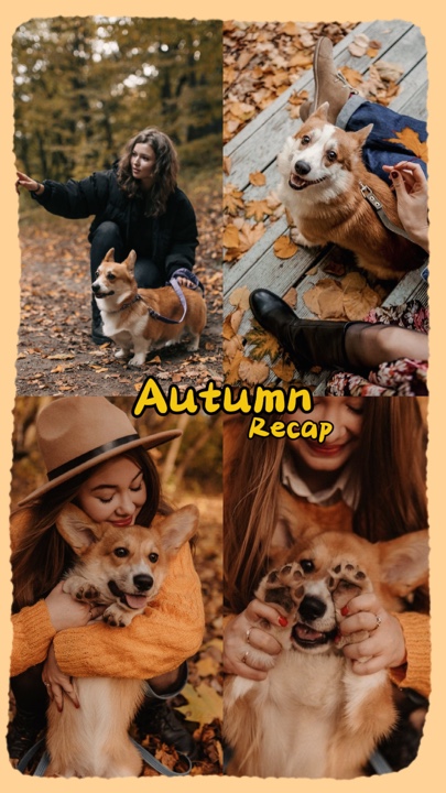Herbst-Zusammenfassung
