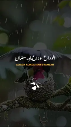 Alvida alvida