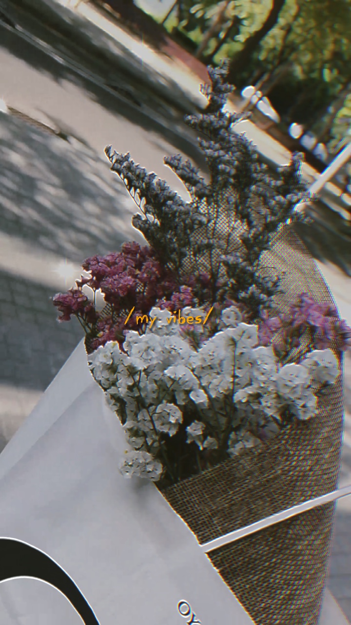 [vlog]
