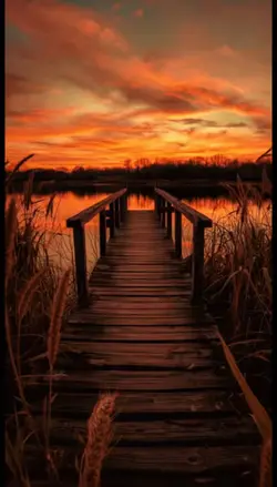 Sunset Lake 
