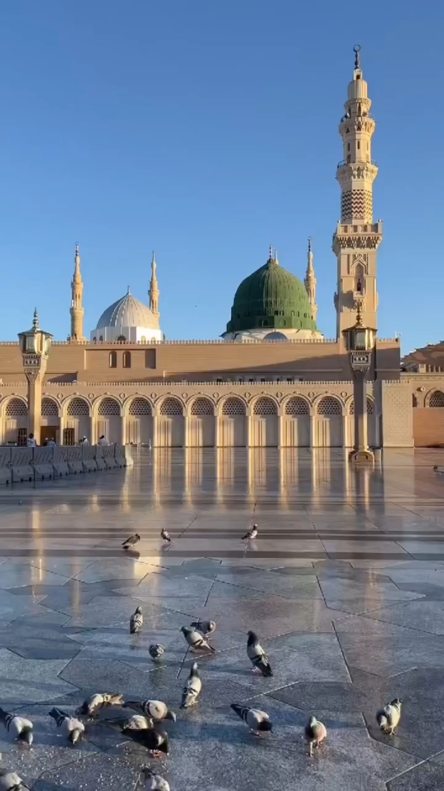 Qalbi Fil Madinah