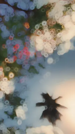 slow motion video