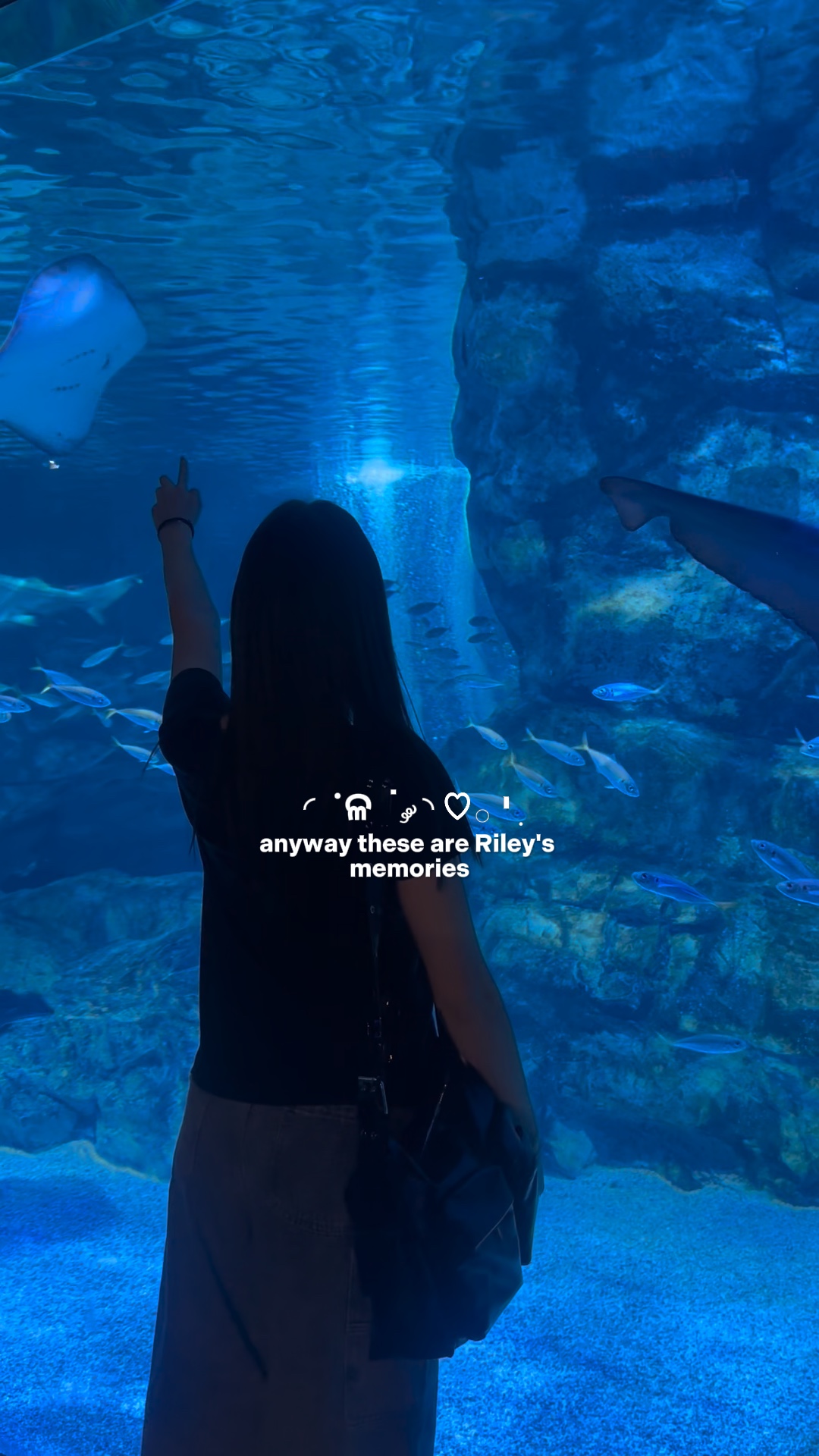 인사이드 아웃 ☁️