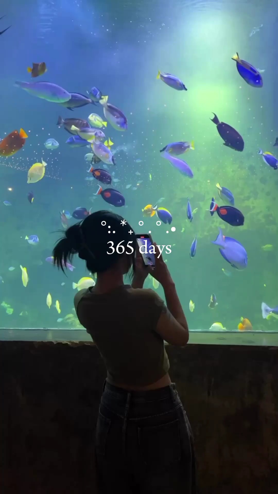356 hari