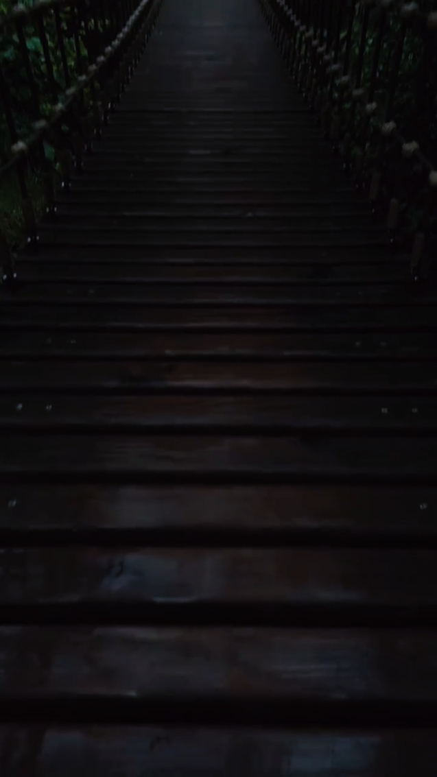 Beautiful Nature