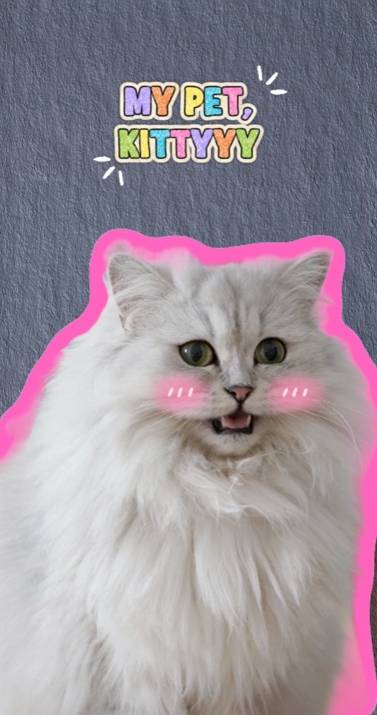 MEMPERKENALKAN PET SAYA