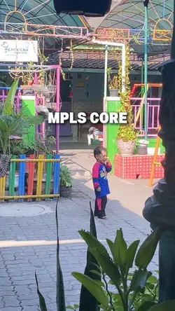 Mpls core