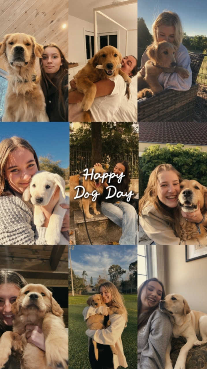 Feliz Día del Perro