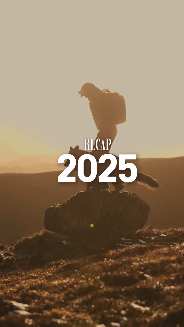 2025 개 요약