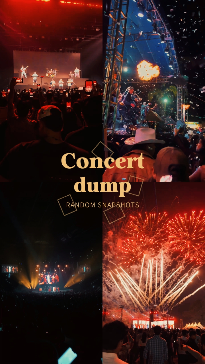 konser dökümü
