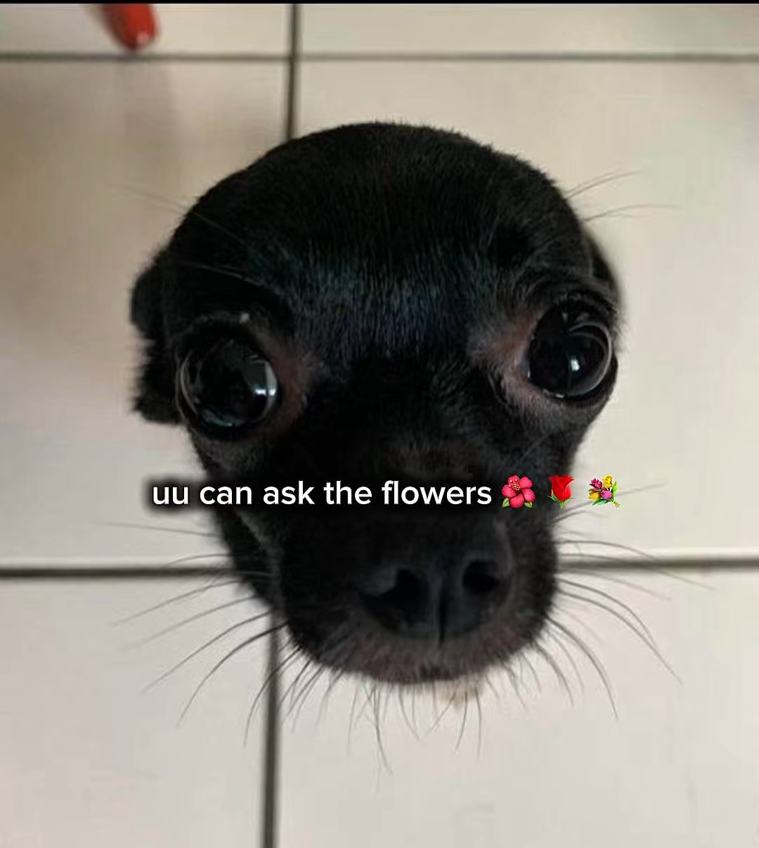 漂亮的小宝贝