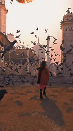 slowmotion
