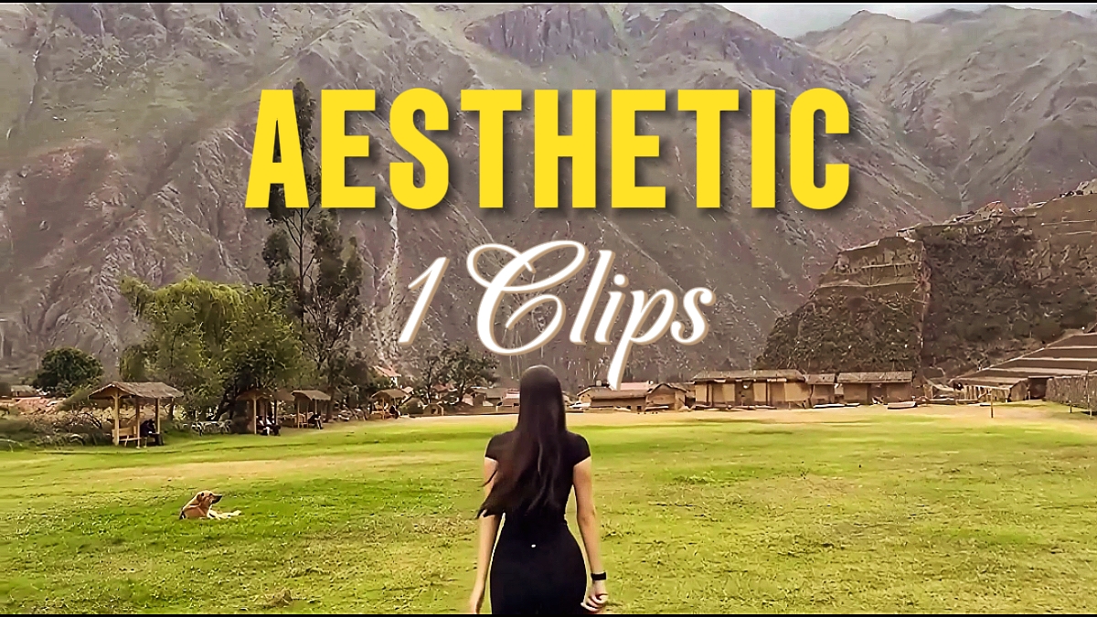 AESTHETIC 1 CLIP