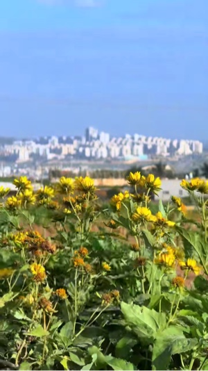 Leej nus dai siab