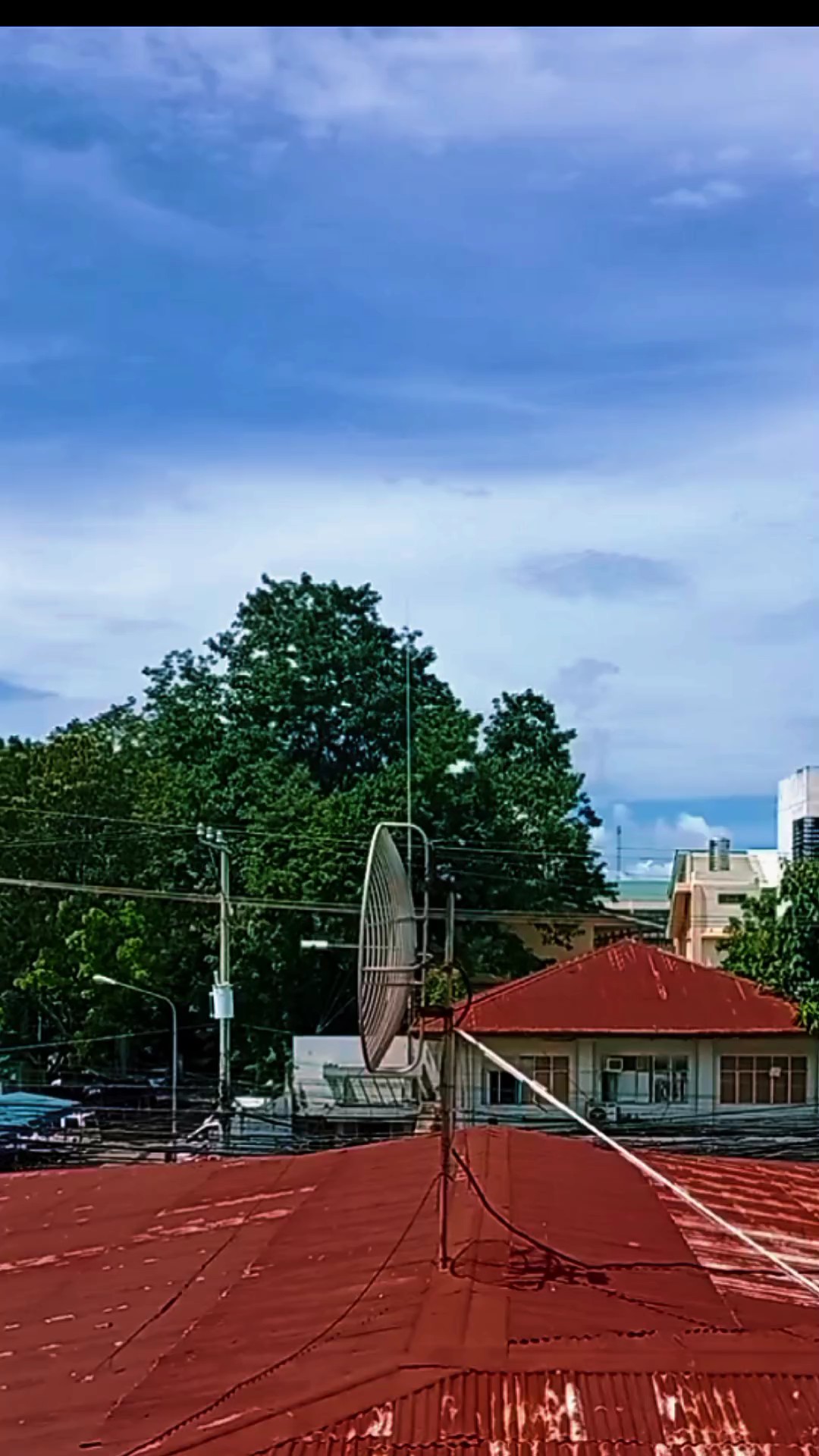 Magulang 