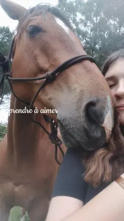 apprendre à aimer