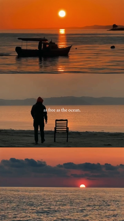 Aussi libre que l'océan