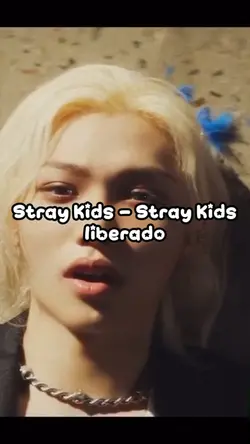 Stray Kids - Skz