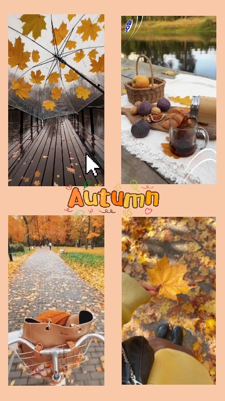 Herbst-Vibes 