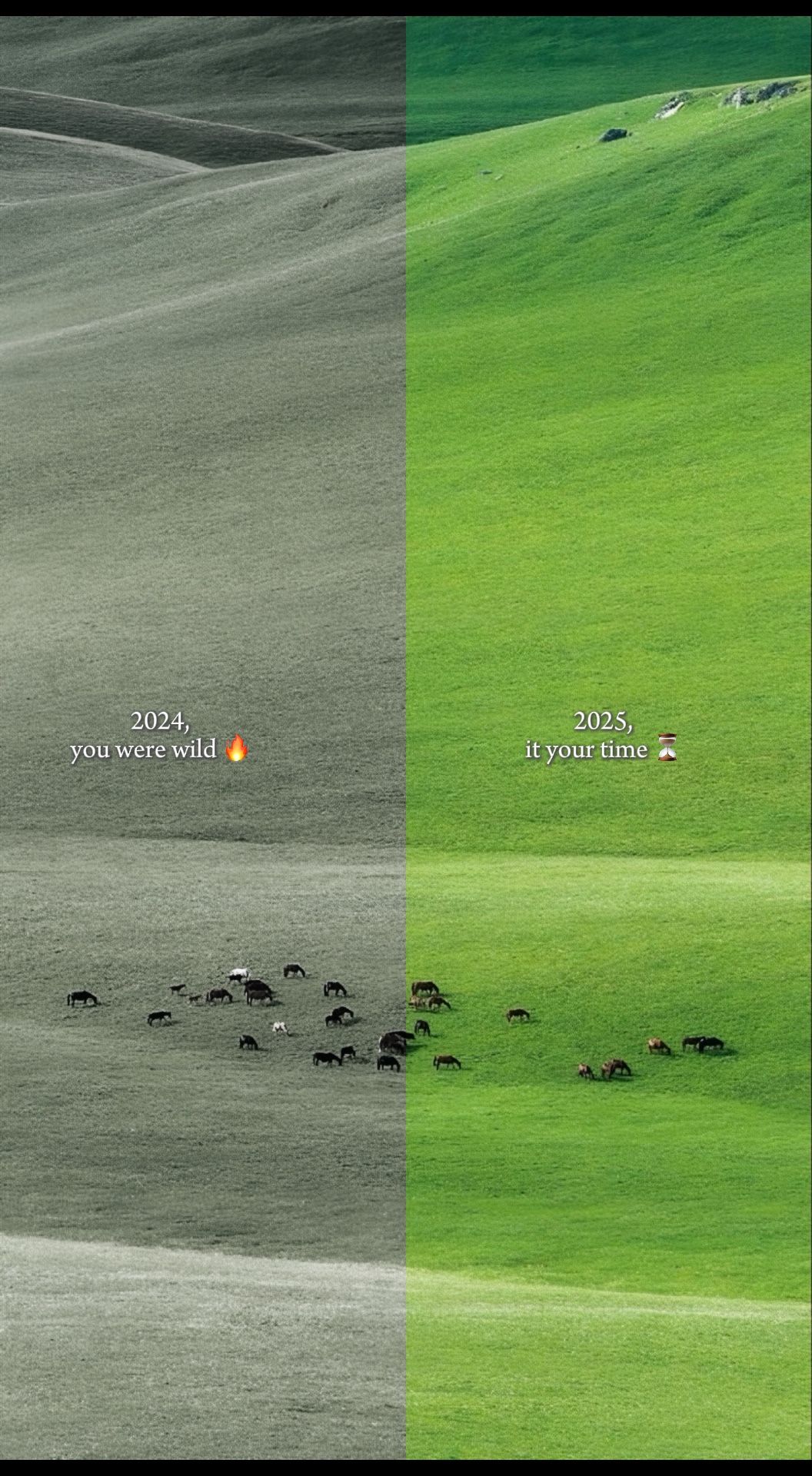 2024 - > 2025