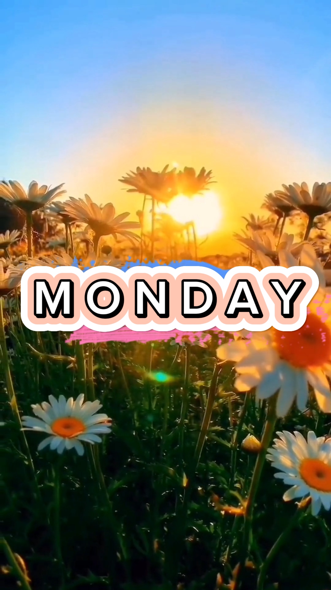 FELIZ LUNES <3