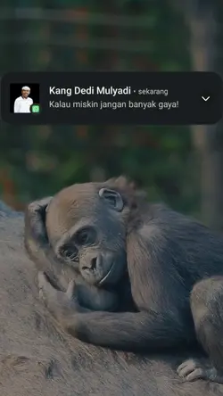 ingat kata kang dedi