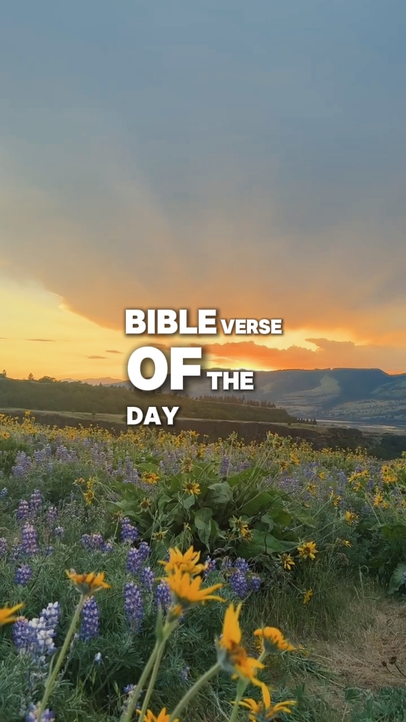 Bibleverse Today