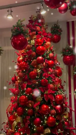 Árvore De Natal