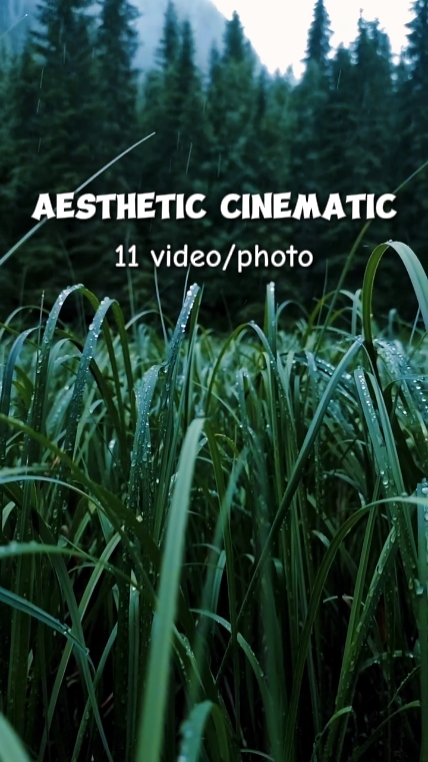 11 video cinematic 