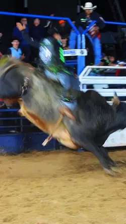 Rodeio modao