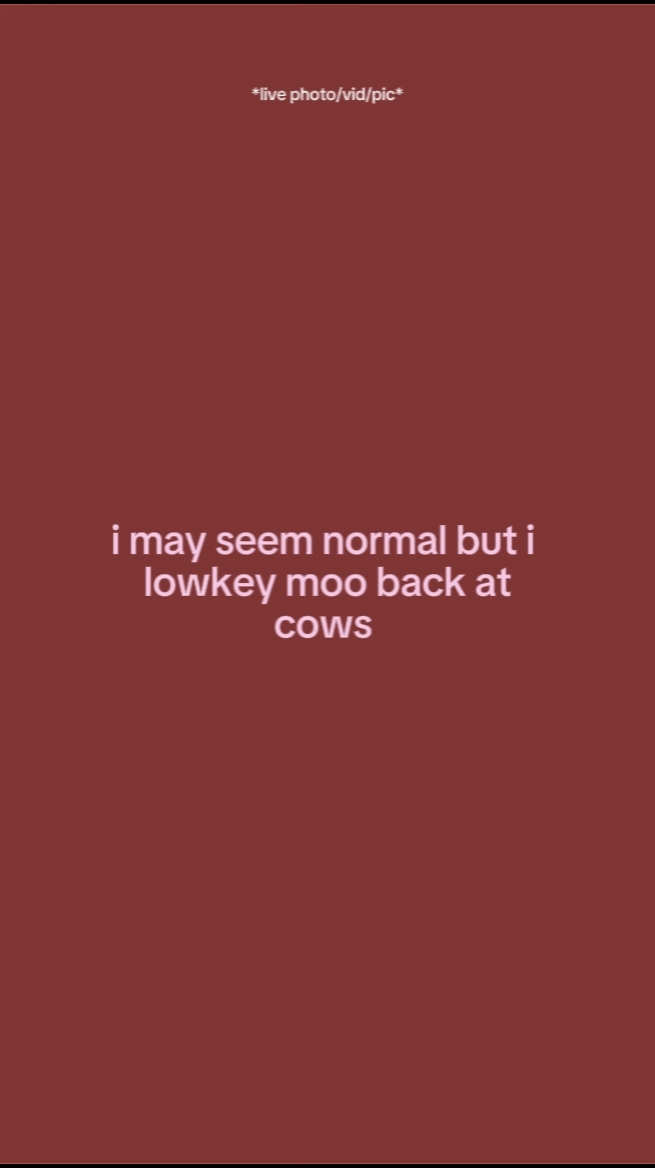 I may seem