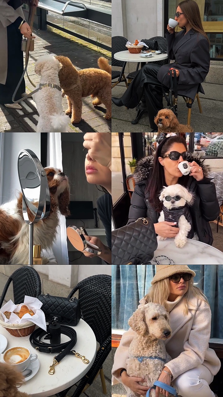 Dog moment