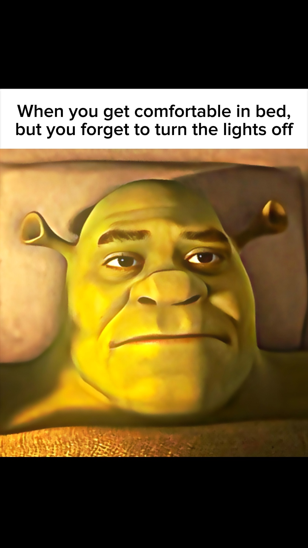 Funny meme template