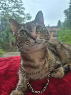gangstas paradise