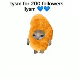 ily guys