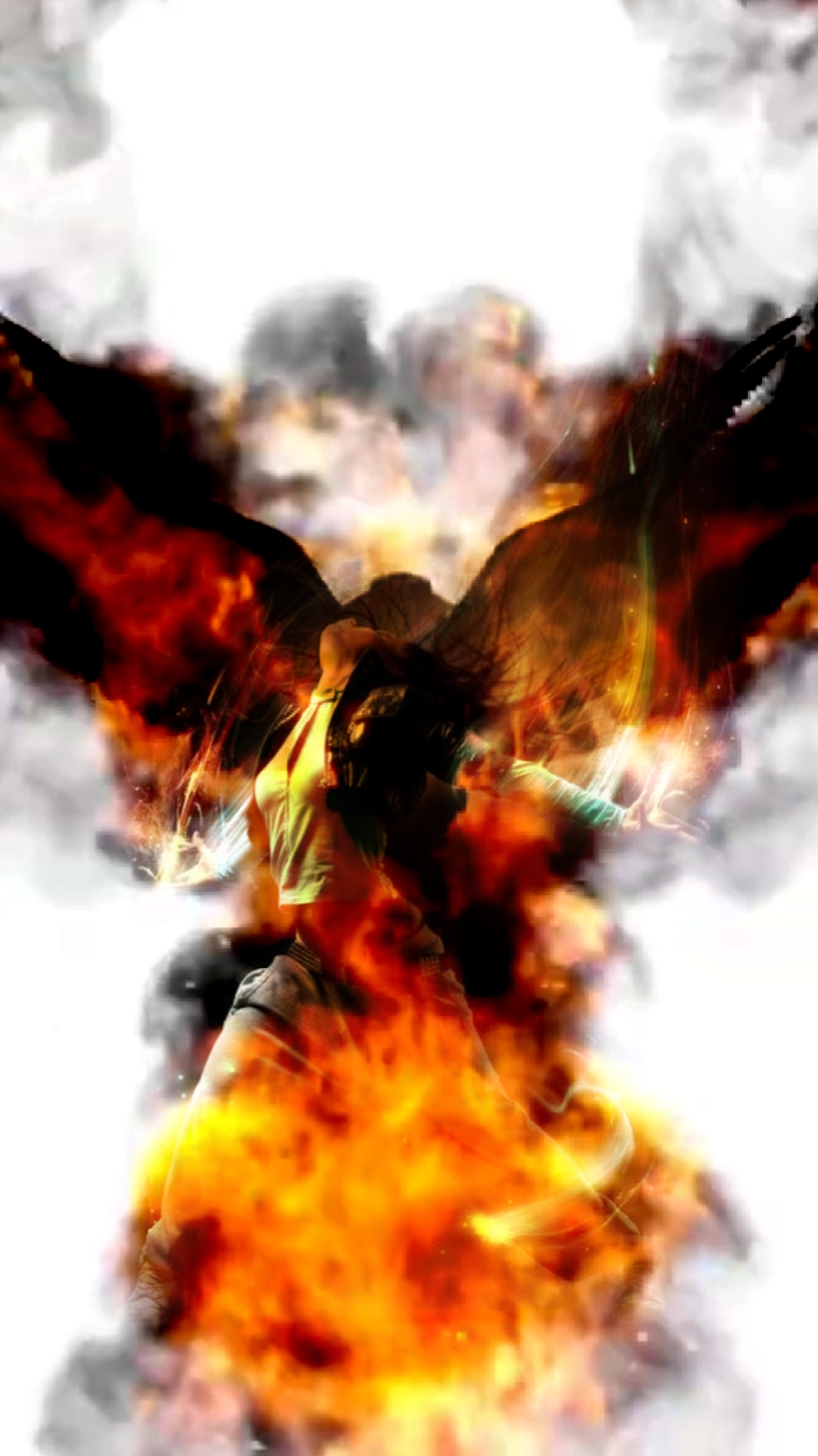 Cover Picture