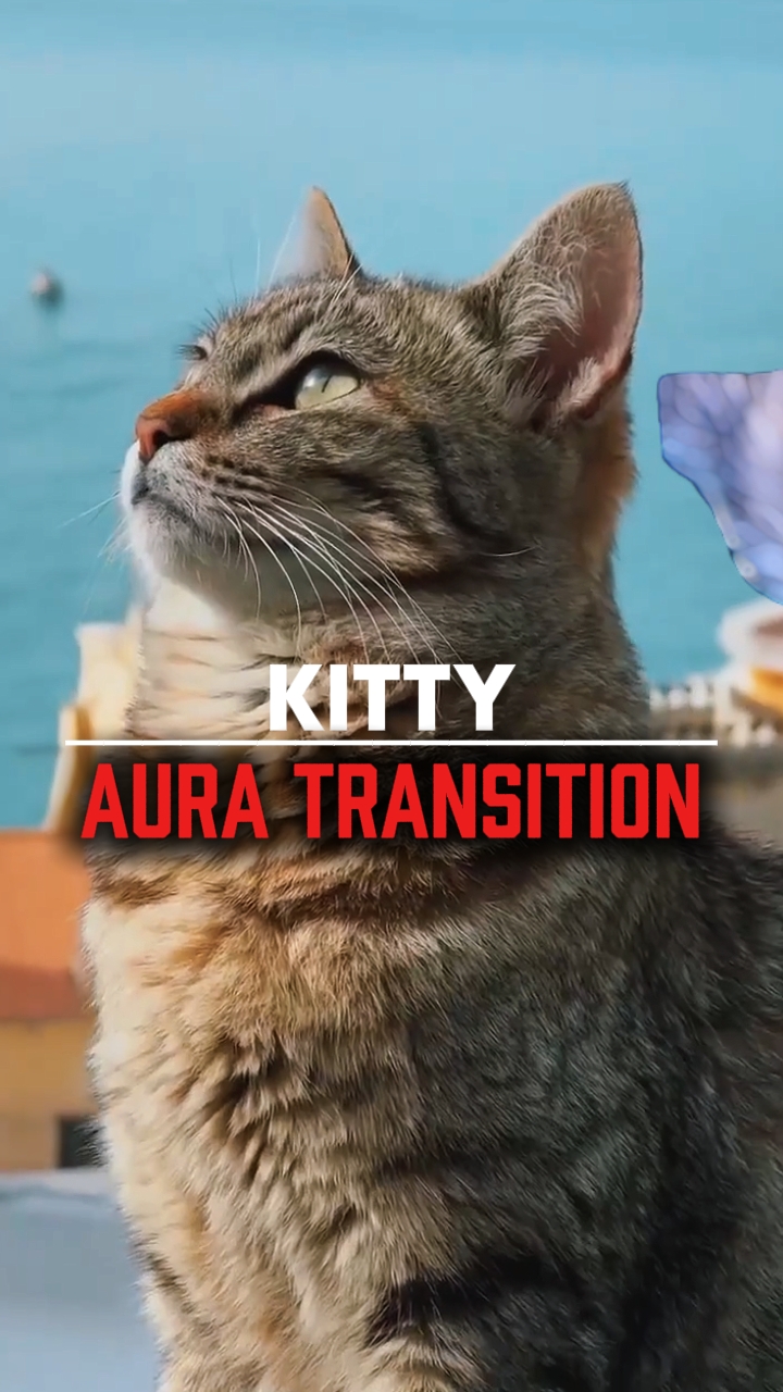 kitty aura