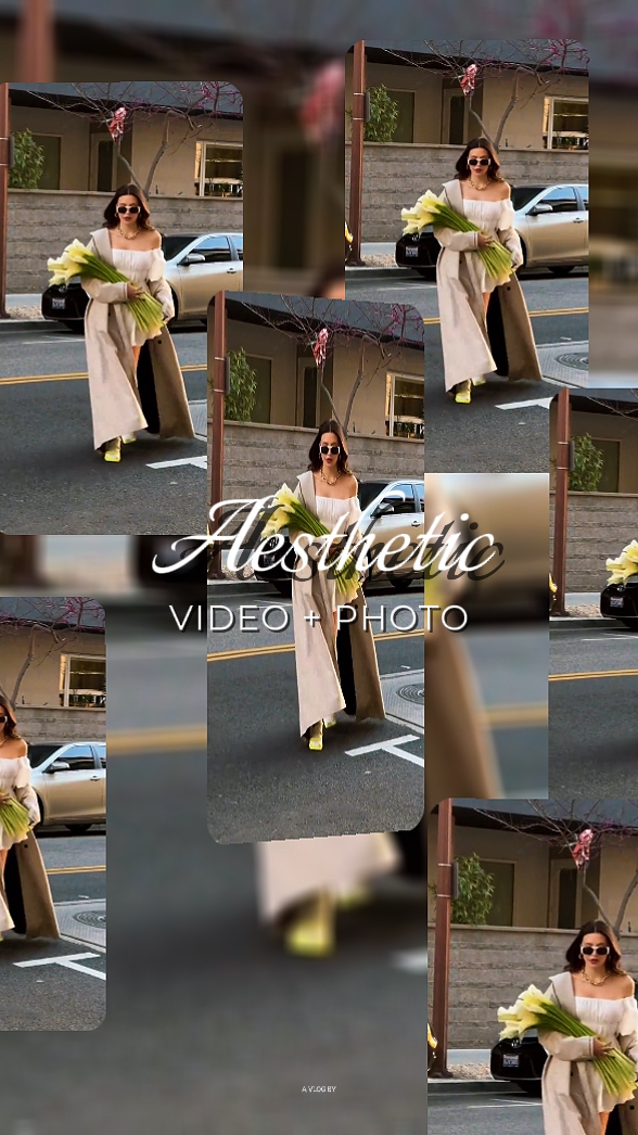 Aesthetic PhotoVideo