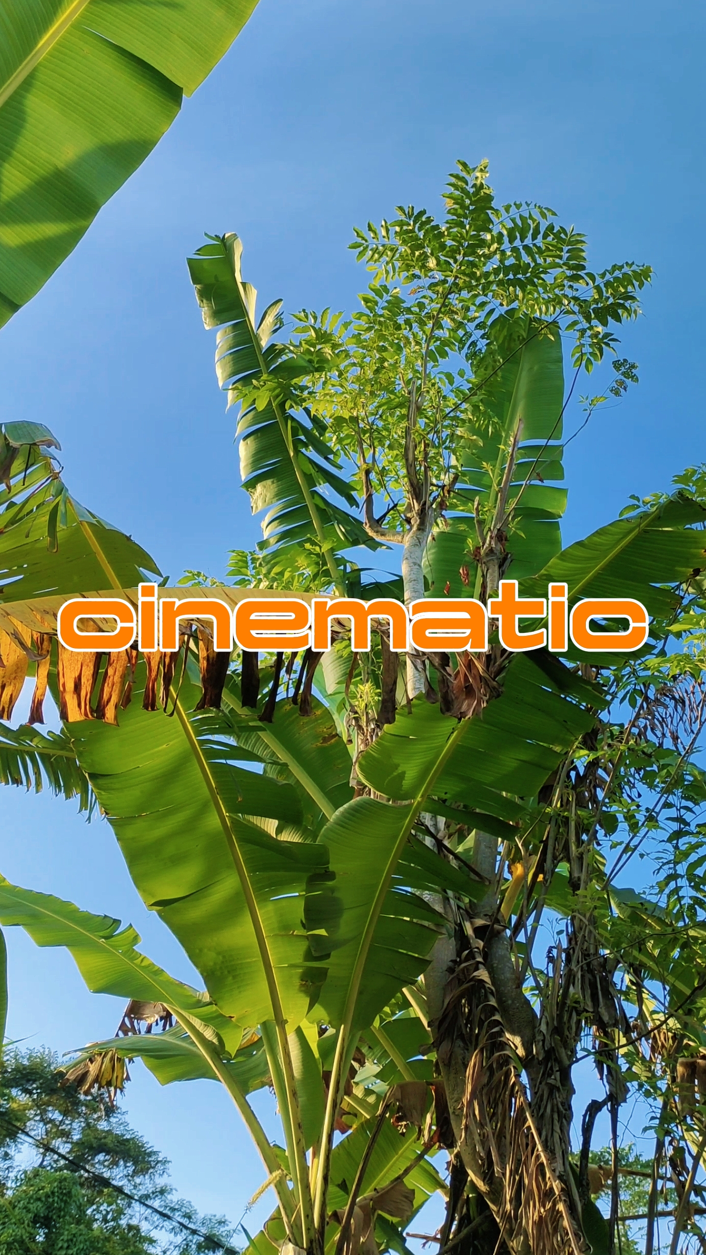 6 videos cinematic