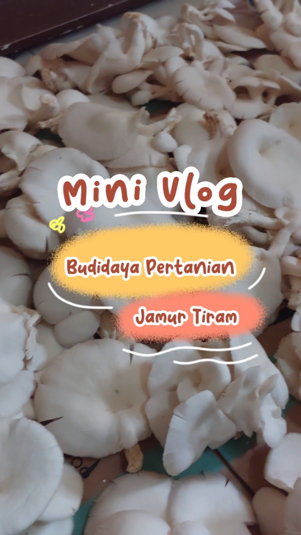 Vlog pengantar