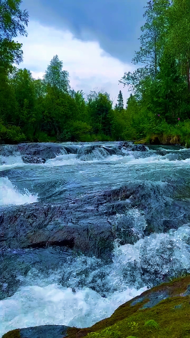 Nature • Cinematic