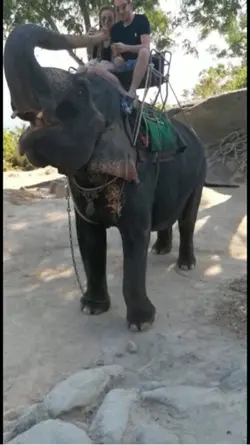 Yapacak tabi kocam😂
