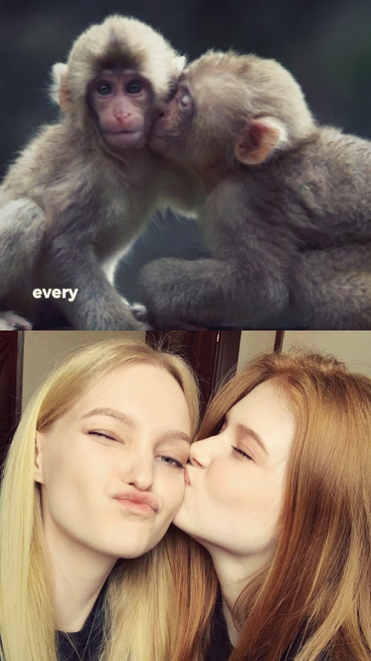 Tendência De Macaco  