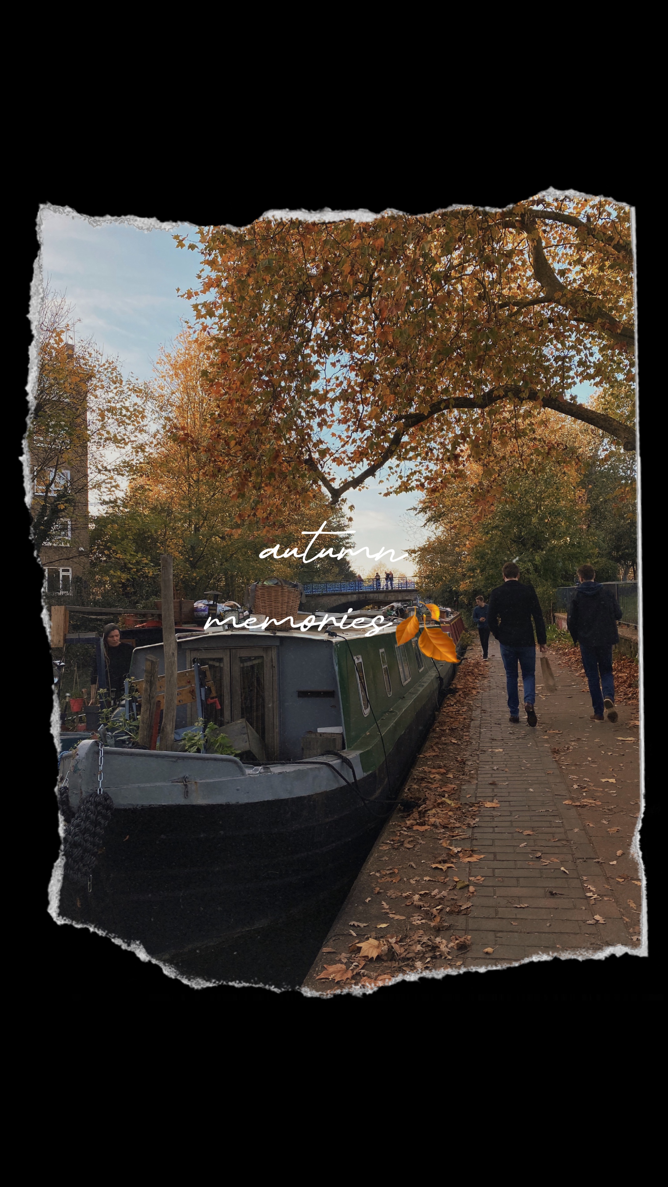 #autumntemplate