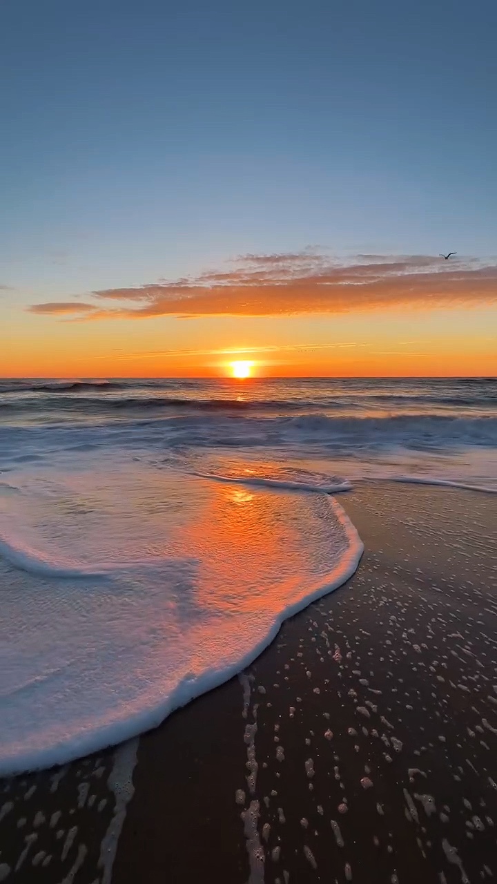 Beach vibes