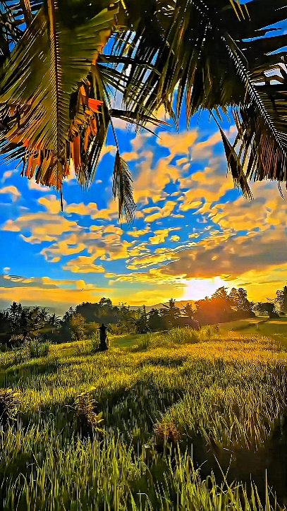 filter hd jernih